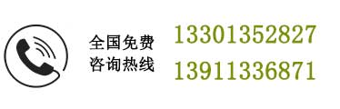 振動(dòng)監(jiān)測儀